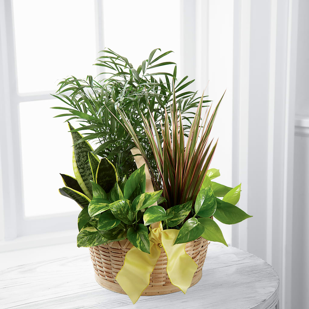 French Garden – Cottage Floral Llc, Versailles MO
