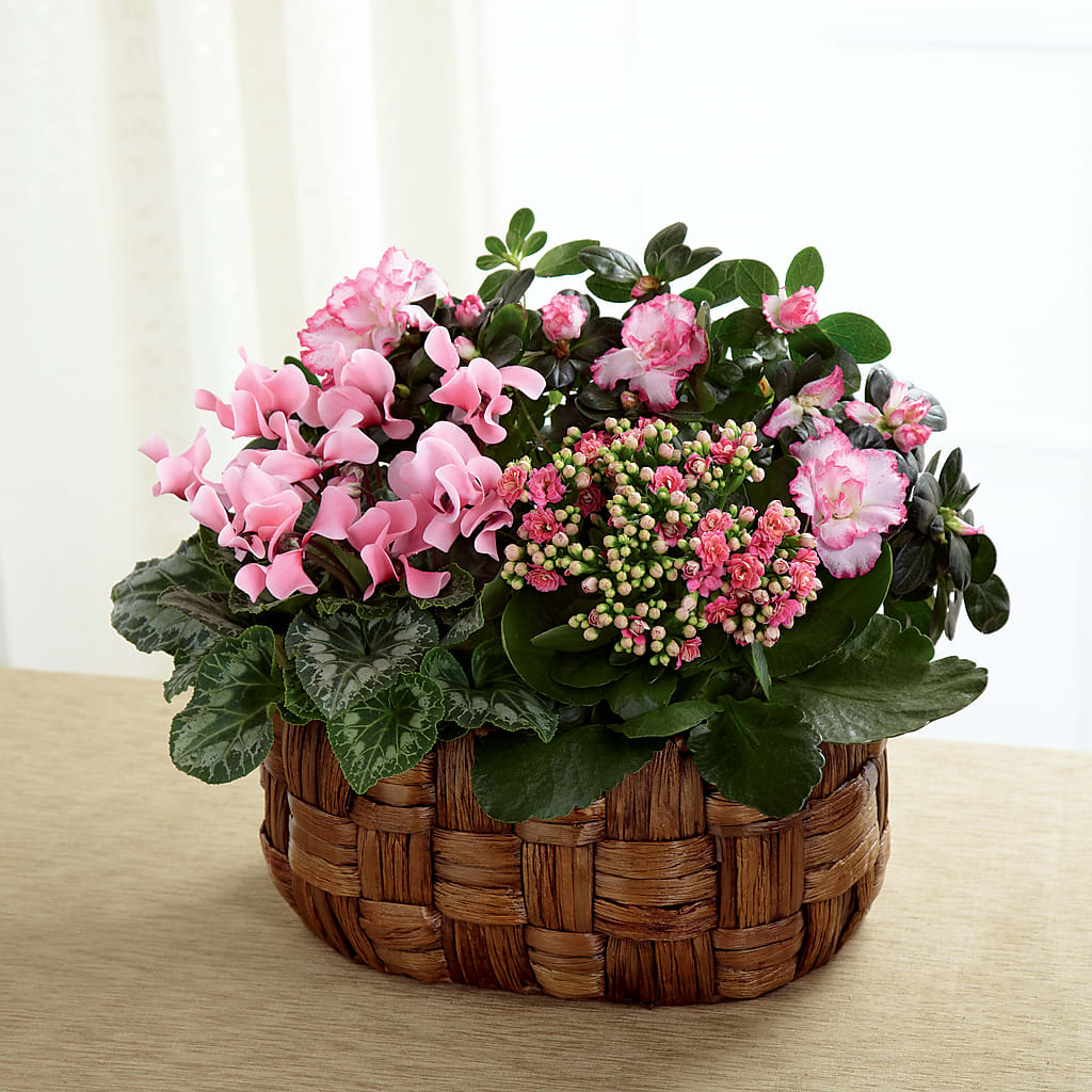 Pink Assortment – Cottage Floral Llc, Versailles MO