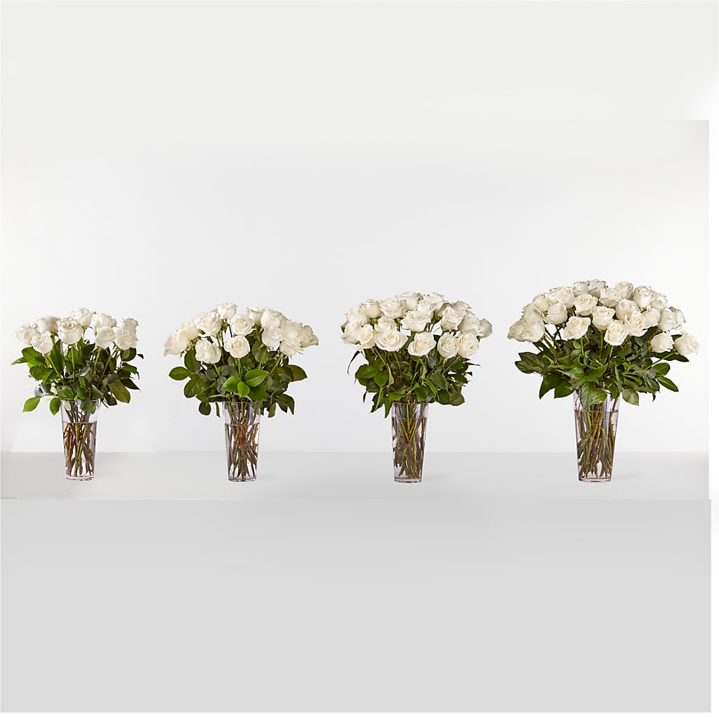 Long Stem White Rose Bouquet – Cottage Floral Llc, Versailles MO