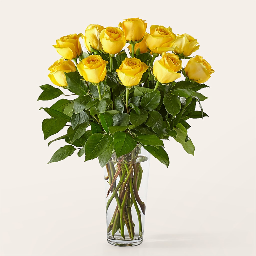Long Stem Yellow Rose Bouquet – Cottage Floral Llc, Versailles MO