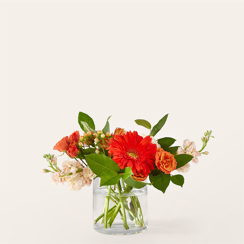 Paloma Please Bouquet – Cottage Floral Llc, Versailles MO