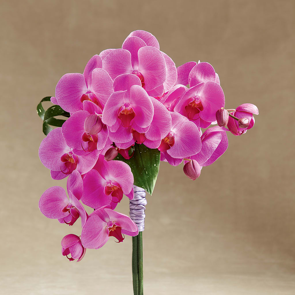 Glorious Bouquet – Cottage Floral Llc, Versailles MO