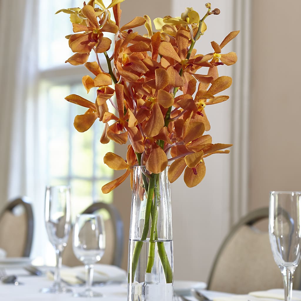 Orange Mokara Bud Vase – Cottage Floral Llc, Versailles MO