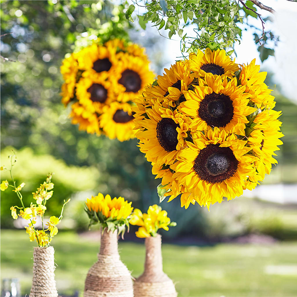 Sublime Garden Hanging Arrangement – Cottage Floral Llc, Versailles MO