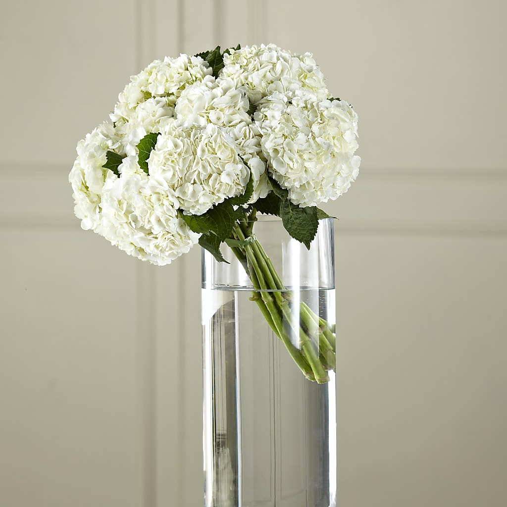 White Hydrangea Hand-Tied Bouquet – Cottage Floral Llc, Versailles MO