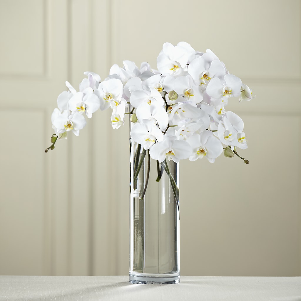 White Phalaenopsis Bouquet – Cottage Floral Llc, Versailles MO