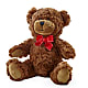 Adorable Plush Bear –  Cottage Floral Llc, Versailles MO