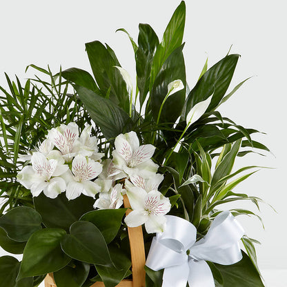 Peace & Serenity Dishgarden –  Cottage Floral Llc, Versailles MO