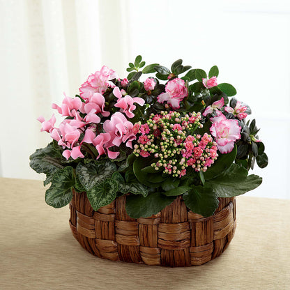 Pink Assortment –  Cottage Floral Llc, Versailles MO