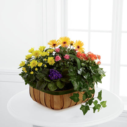 Gentle Blossoms Basket –  Cottage Floral Llc, Versailles MO