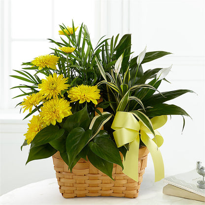 Loving Light Dishgarden –  Cottage Floral Llc, Versailles MO