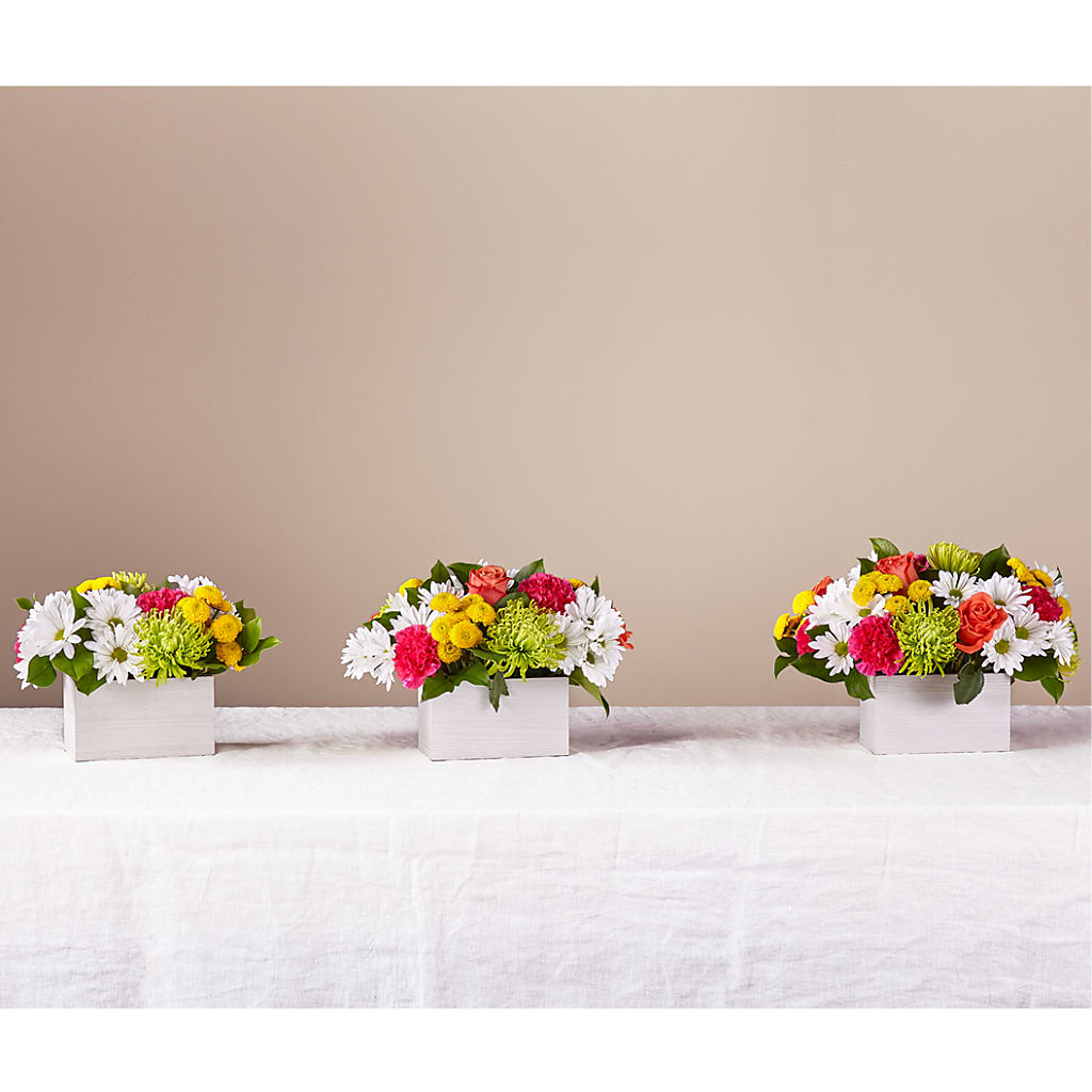 Sorbet Bouquet –  Cottage Floral Llc, Versailles MO
