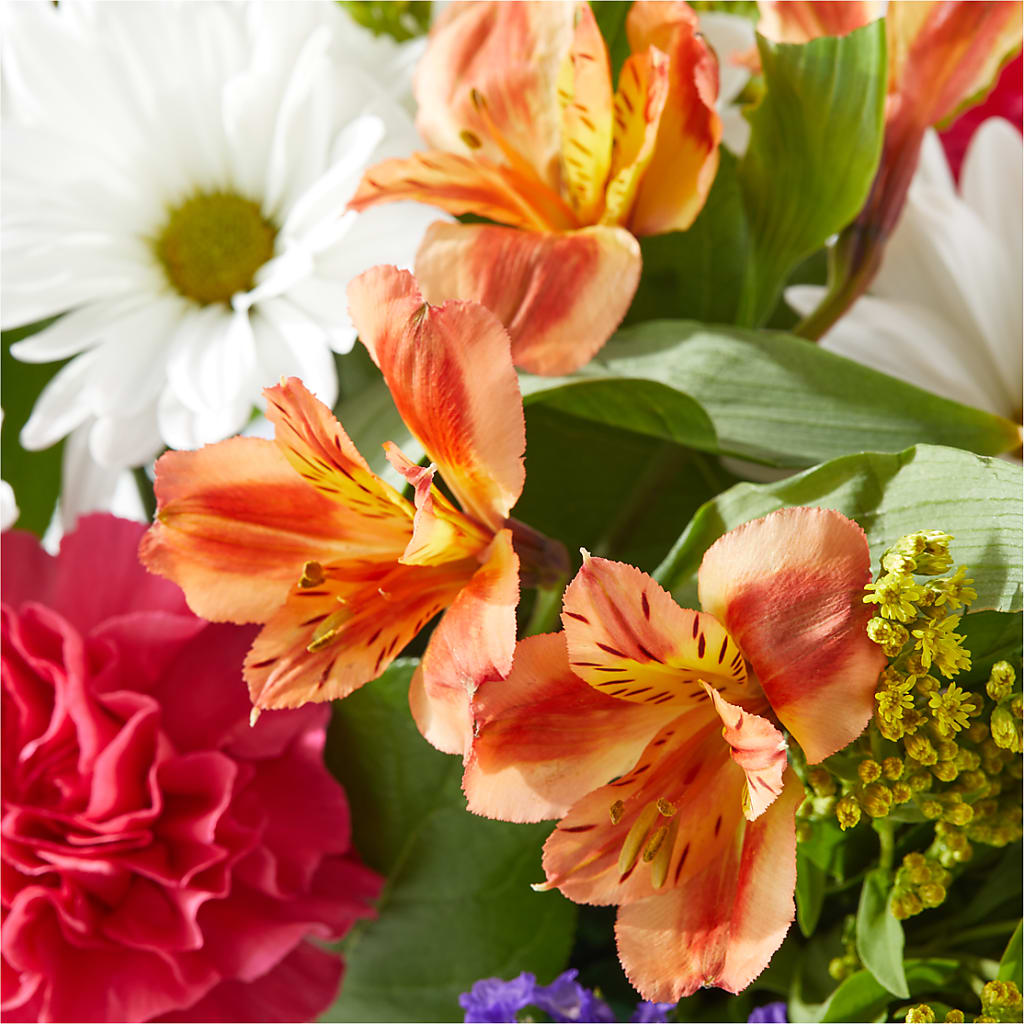 Oopsie Daisy Box Bouquet –  Cottage Floral Llc, Versailles MO