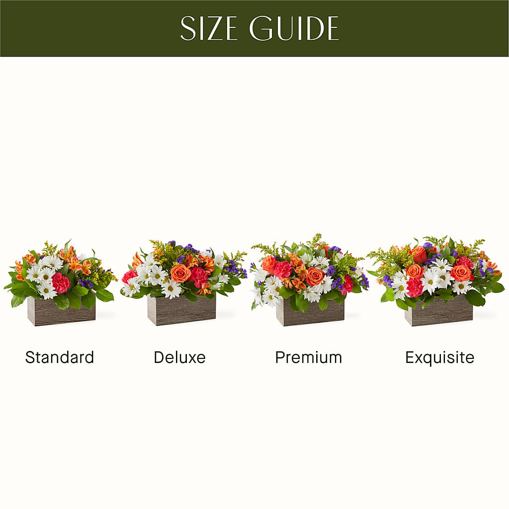 Oopsie Daisy Box Bouquet –  Cottage Floral Llc, Versailles MO