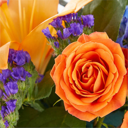 Radiant Citrus Box Bouquet –  Cottage Floral Llc, Versailles MO