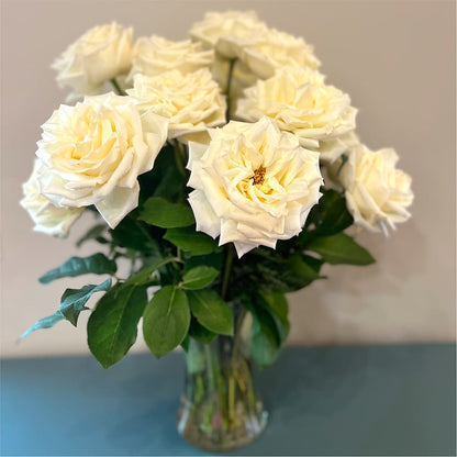 Long Stem Yellow Rose Bouquet –  Cottage Floral Llc, Versailles MO