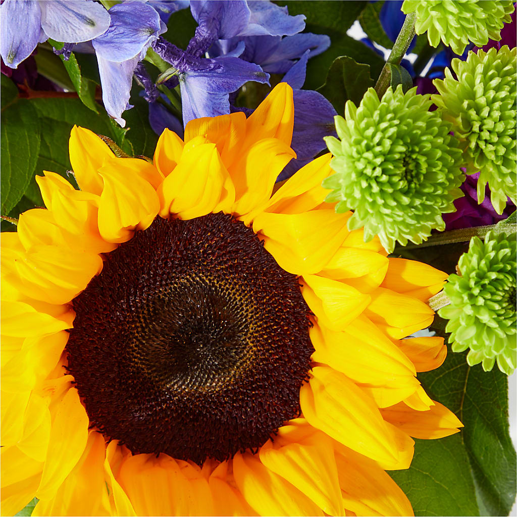 Catching Rays Bouquet –  Cottage Floral Llc, Versailles MO