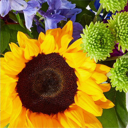 Catching Rays Bouquet –  Cottage Floral Llc, Versailles MO