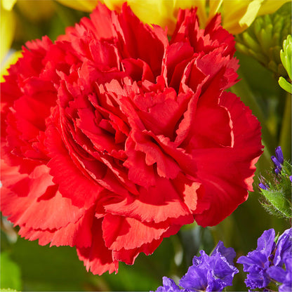 Brighter Days Bouquet –  Cottage Floral Llc, Versailles MO