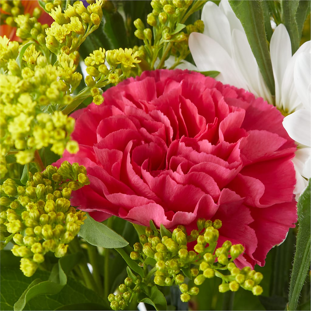 Oopsie Daisy Bouquet –  Cottage Floral Llc, Versailles MO