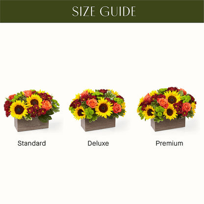 Happy Harvest Garden –  Cottage Floral Llc, Versailles MO