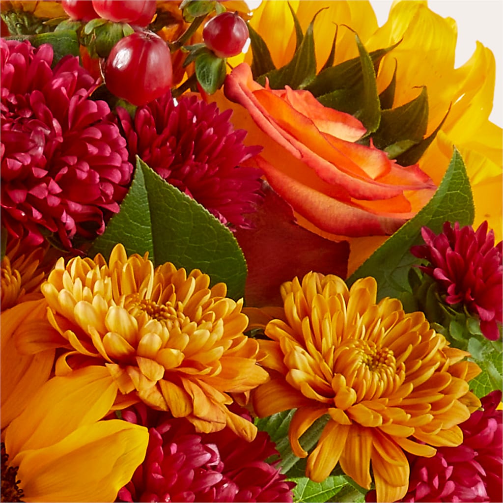 Sweater Season - A Florist Original –  Cottage Floral Llc, Versailles MO