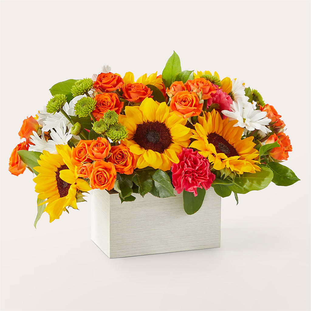 Sun-drenched Blooms Box Bouquet –  Cottage Floral Llc, Versailles MO