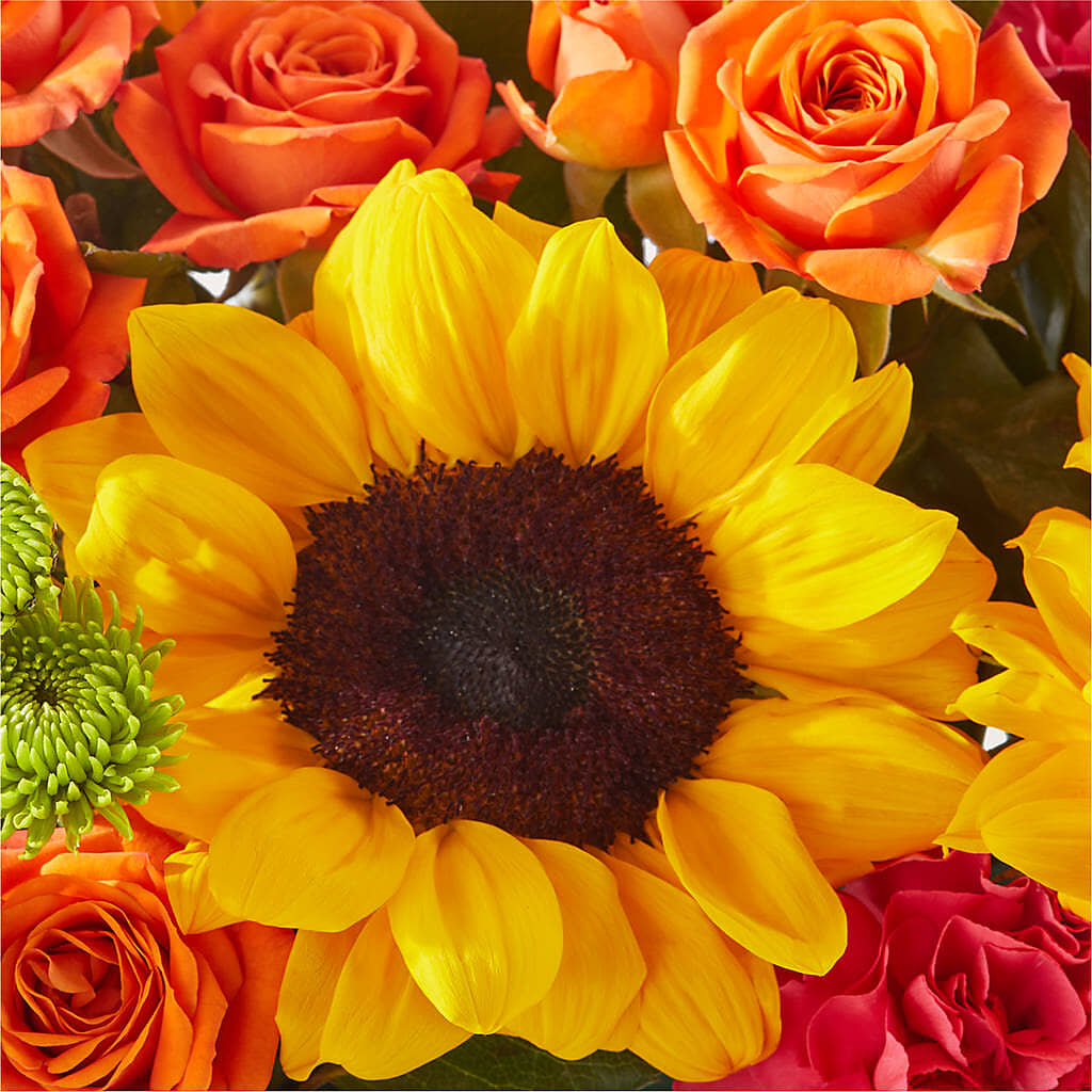 Sun-drenched Blooms Box Bouquet –  Cottage Floral Llc, Versailles MO