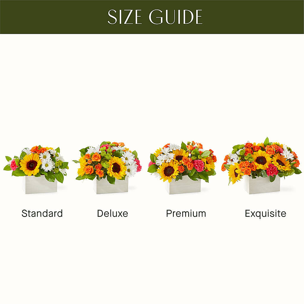 Sun-drenched Blooms Box Bouquet –  Cottage Floral Llc, Versailles MO