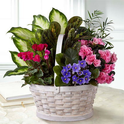 Peaceful Garden Planter –  Cottage Floral Llc, Versailles MO