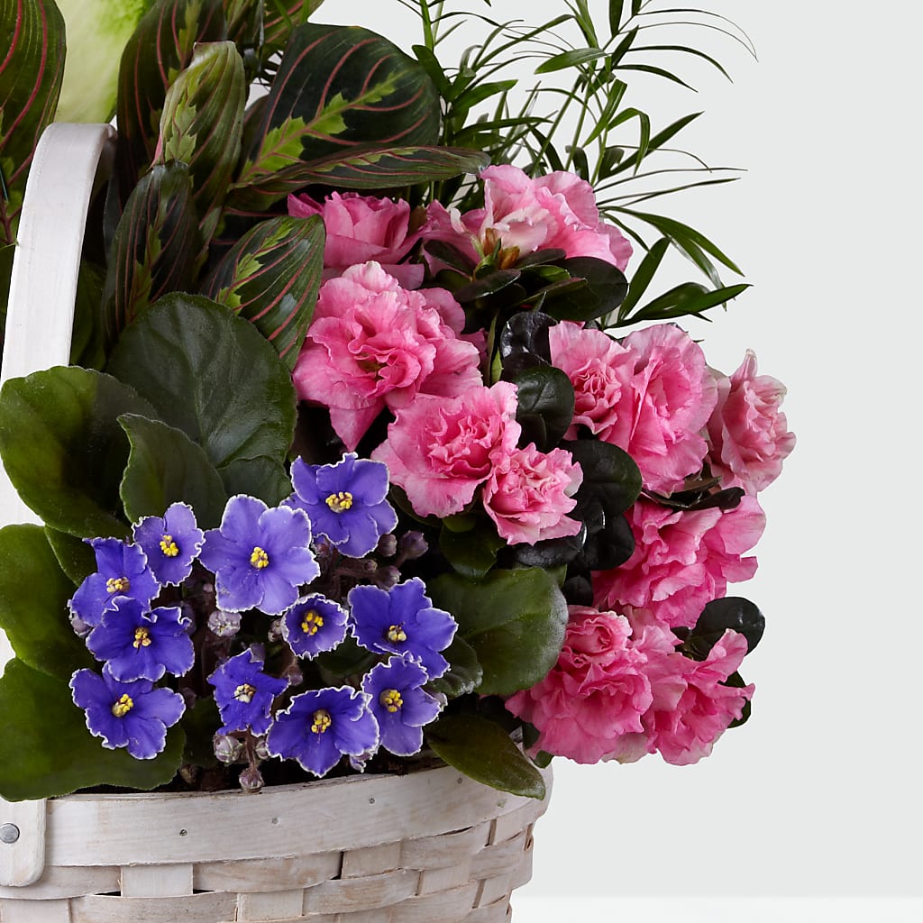 Peaceful Garden Planter –  Cottage Floral Llc, Versailles MO