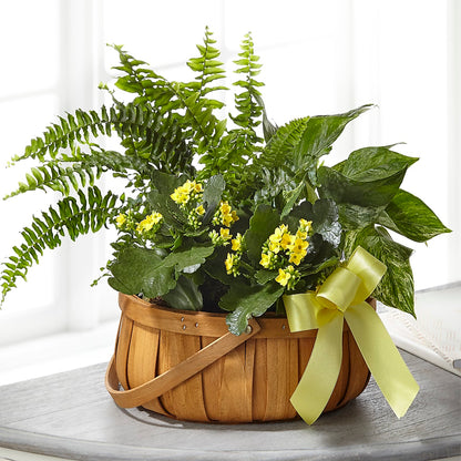 Always Dear Dishgarden –  Cottage Floral Llc, Versailles MO