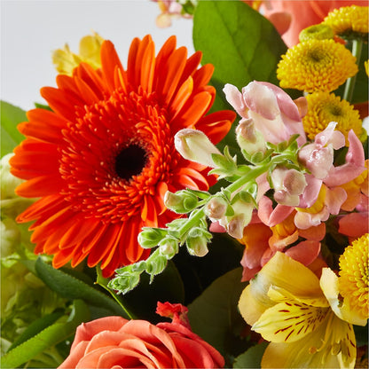 Autumn Sunshine Bouquet –  Cottage Floral Llc, Versailles MO
