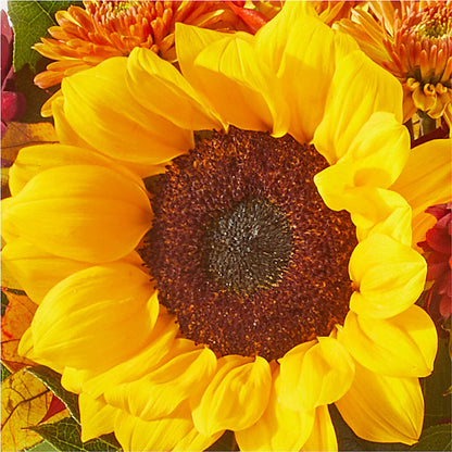 Sunny Side Bouquet –  Cottage Floral Llc, Versailles MO