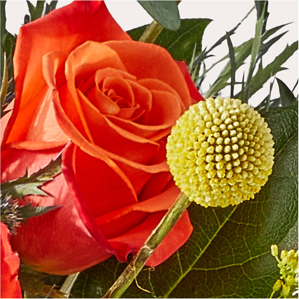 Disco Bouquet –  Cottage Floral Llc, Versailles MO