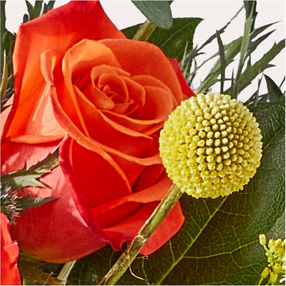 Disco Bouquet –  Cottage Floral Llc, Versailles MO