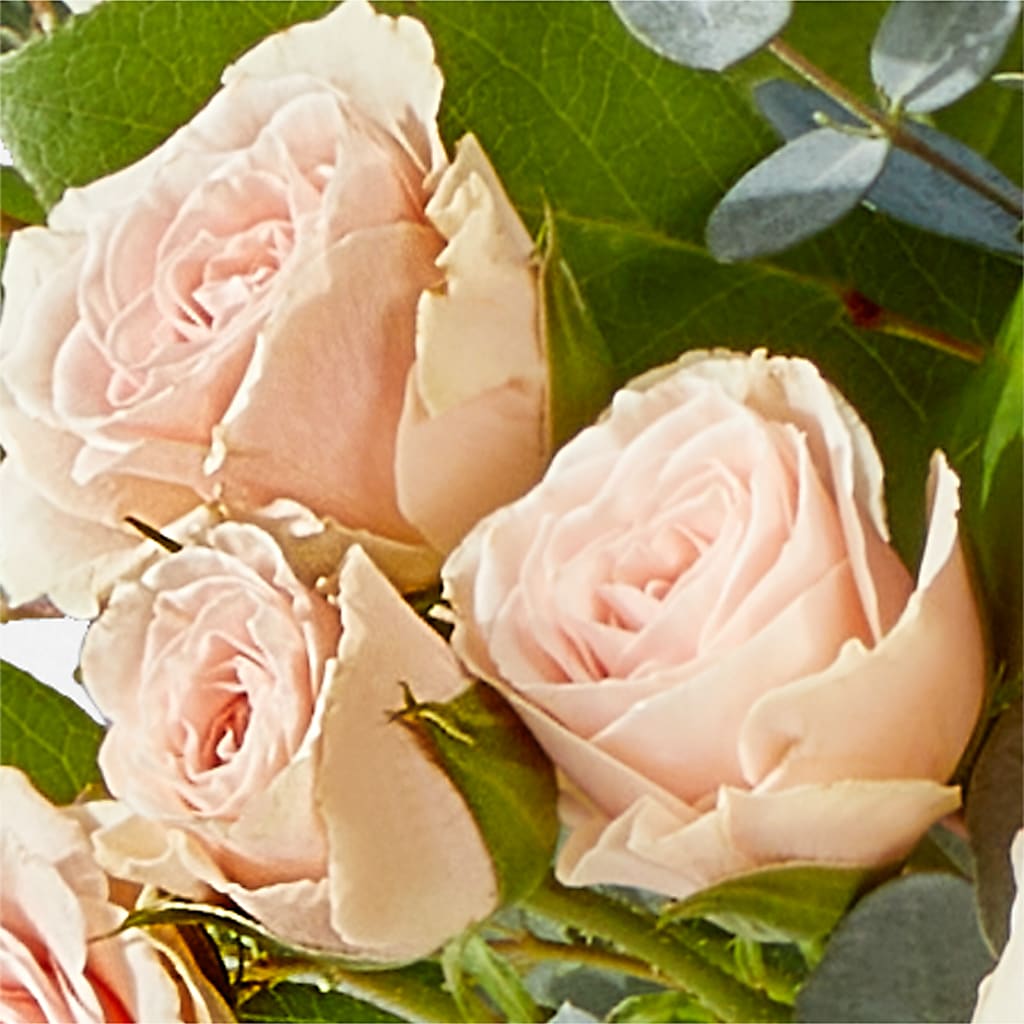 Inspired Bouquet –  Cottage Floral Llc, Versailles MO
