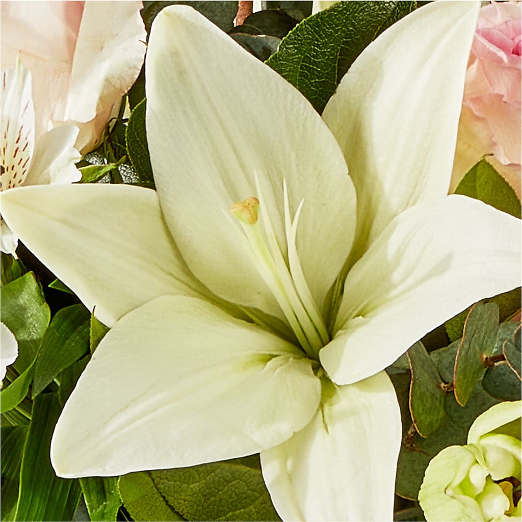 Ballet Slippers Bouquet –  Cottage Floral Llc, Versailles MO
