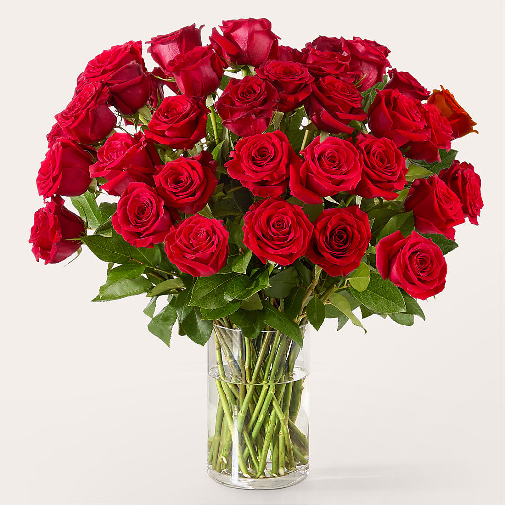 The One Red Rose Bouquet –  Cottage Floral Llc, Versailles MO