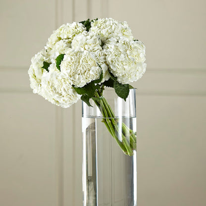 White Hydrangea Hand-Tied Bouquet –  Cottage Floral Llc, Versailles MO