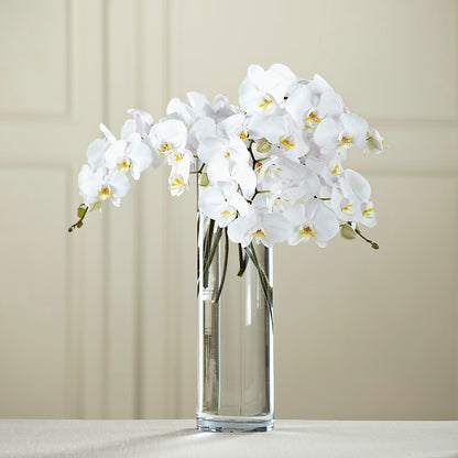 White Phalaenopsis Bouquet –  Cottage Floral Llc, Versailles MO