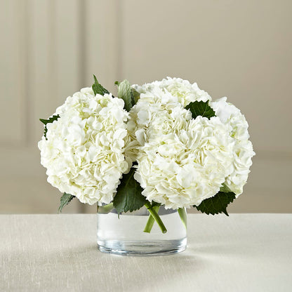 White Hydrangea Bouquet –  Cottage Floral Llc, Versailles MO